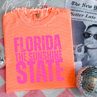 Florida The Sunshine State Comfort Colors Tee